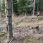 Hébergement de vacances Veslestua - Authentic Norwegian Living