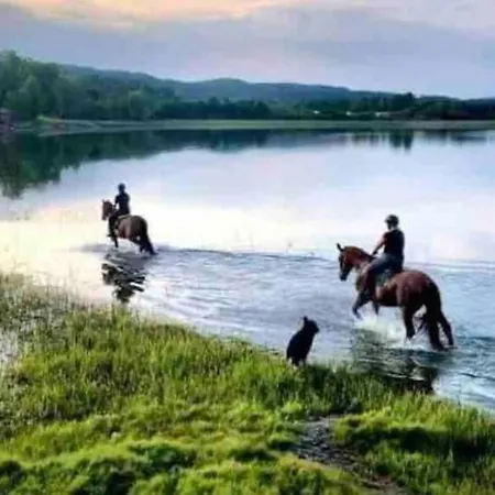Veslestua - Authentic Norwegian Living 펜션 *