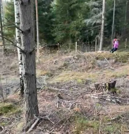 Casa vacanze Veslestua - Authentic Norwegian Living