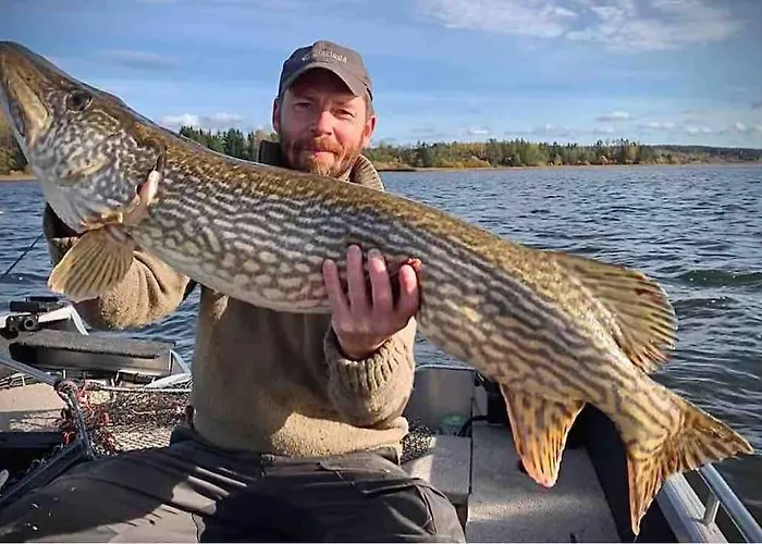 Feriehus Veslestua - Bliss & Fishing Fun