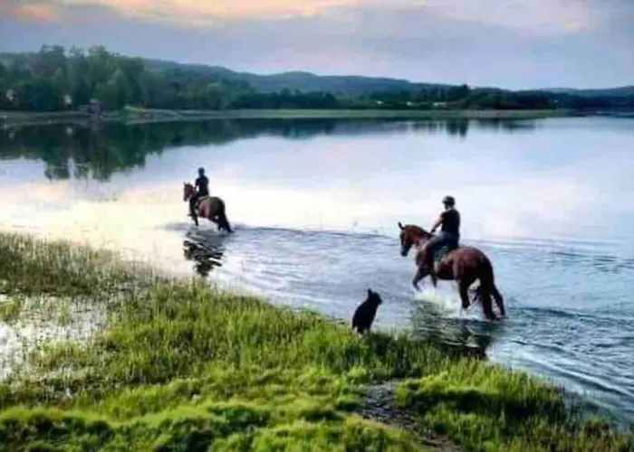 Veslestua - Bliss & Fishing Fun Feriehus *